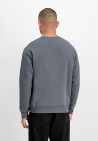 Pelēks sporta krekls ar apaļu dekoltē, ribotas piedurknes un apakšmali, gluda tekstūra; valkāts kopā ar melniem biksēm, skatīts no aizmugures.