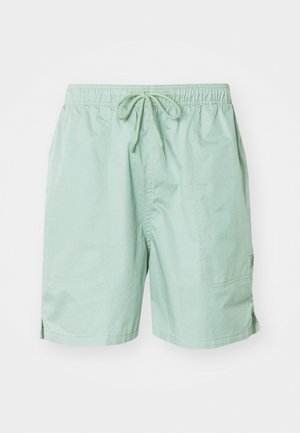 Light green swim shorts made of smooth fabric, featuring an elastic waistband with drawstring, side pockets, and short length.