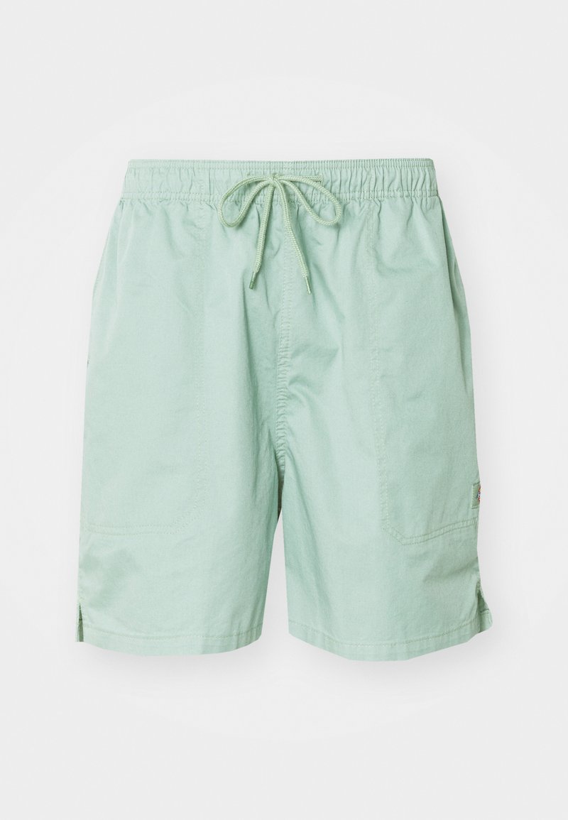 Dickies Shorts groen Dickies Shorts groen