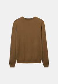Pull marron à manches longues, avec des poignets côtelés et un col rond. Texture lisse et un design de dos simple et sans ornements.