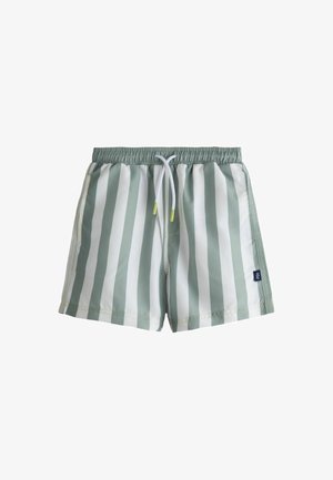 Lysegrønne og hvide stribede badeshorts med elastisk talje, snørelukning og sidelommer. Glat syntetisk stof.