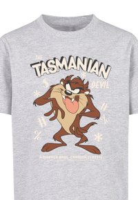 Grijze kortekorte t-shirt met een cartoonafbeelding van "The Tasmanian Devil" in bruin en crèmekleur, voorzien van opdruk en decoratieve symbolen.