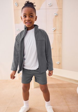 Next, REGULAR FIT - ZIP UP WITH POCKETS - Veste polaire - grey