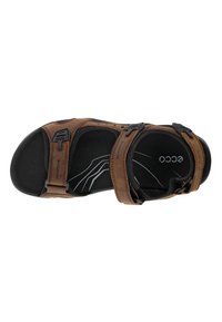 ECCO OFFROAD - Vandringssandaler - brown