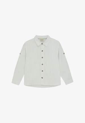 Lys grøn stripete langermet skjorte med krage, med brune knapper og rulleklappede ermer; laget av bomull, vanlig passform.