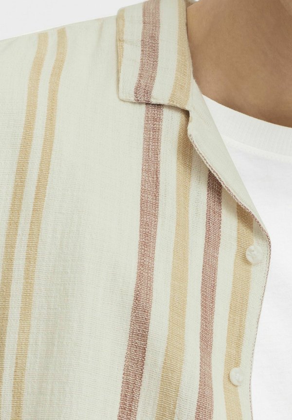 SDISAI - Shirt - acorn4