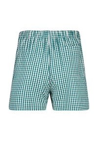 America Today LOGAN - Pyjamahousut/-shortsit - green