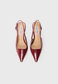Un paio di décolleté slingback lucide color borgogna con punta a punta, dotate di cinghie alla caviglia e insole beige, etichettate Steve Madden.