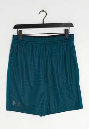 Under Armour Shorts - blue