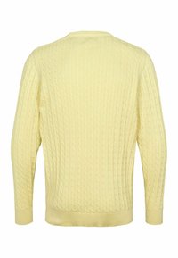 Pull en tricot torsadé jaune avec des manches longues, des poignets et un ourlet côtelés. Un motif texturé couvre le dos, offrant une apparence douce et chaude.