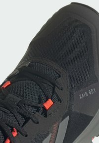 adidas Performance TERREX SOULSTRIDE .RDY czarny