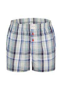 Pantaloni corti a scacchi da uomo in tonalità di verde, blu e navy. Presentano una vita elastica, chiusura a bottoni con due bottoni rossi e motivo a quadri.