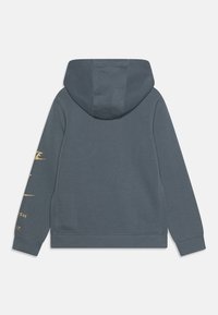 Sudadera con capucha en gris oscuro, hecha de algodón suave. Presenta texto dorado a lo largo de la manga izquierda y un bolsillo tipo canguro en la parte frontal.