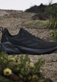 Zwarte Adidas Terrex trail hardloopschoen op een grindpad met groene planten op de voorgrond en achtergrond.
