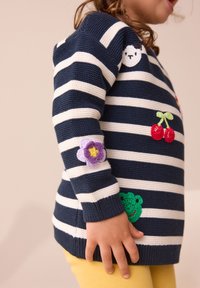 Navy and white striped knitted sweater featuring colorful embroidered accents: a bear, cherries, a flower, and a green frog.