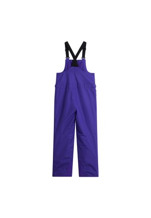 The North Face, TEEN FREEDOM INSULATED BIB UNISEX - Ски панталон - peak purple