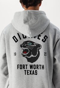 Dickies PHANTER HOODIE - Jersey con capucha - grey