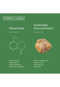 The Nue Co. FOREST LUNGS 50ML - Eau de Parfum