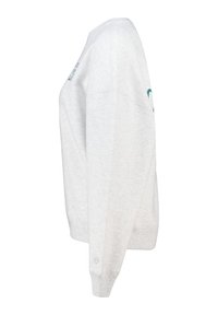Sudadera gris clara con cuello redondo, puños acanalados y un corte holgado. Presenta un pequeño logo en color teal en la parte frontal. Material de suave mezcla de algodón.