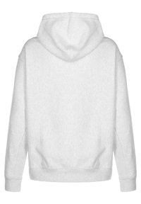 Light gray hoodie with a textured fabric, featuring a drawstring hood, long sleeves, and ribbed cuffs and hem. Back view displayed.