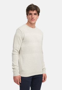 Hellgrauer Strickpullover mit strukturiertem Muster, Rundhalsausschnitt, langen Ärmeln und gerippten Bündchen, aus unterschiedlichen Stofftexturen.