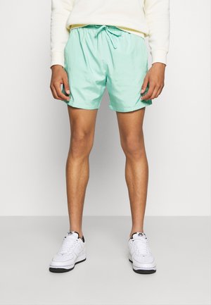 Shorts - turquoise