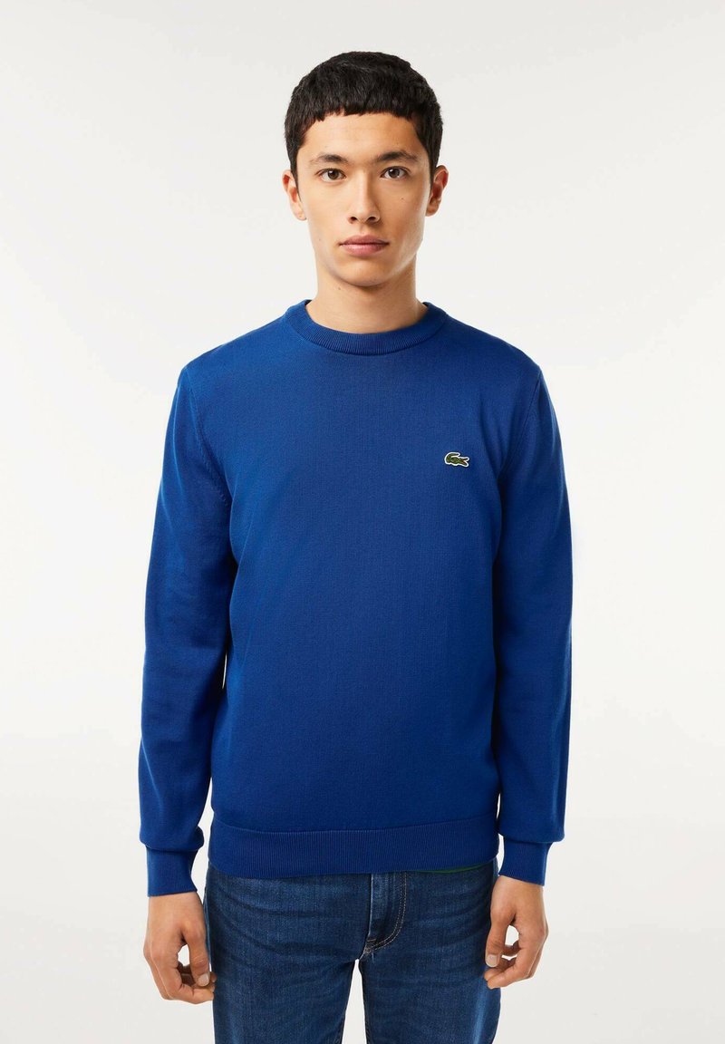 Maglione blu a maglia con maniche lunghe, scollatura a girocollo e polsini a costine. Presenta un piccolo logo verde sul lato sinistro del petto. Indossato sopra dei jeans blu.