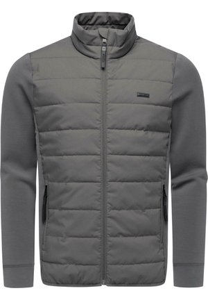 STEPP RENDAN TECH  - Winterjacke - stone