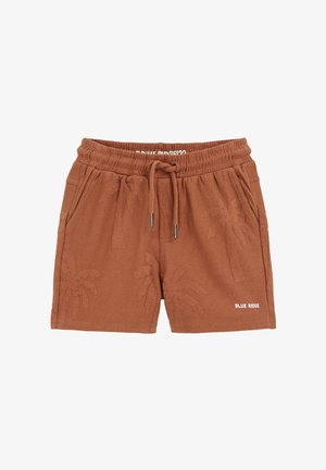 Pantaloni corti in cotone marrone con vita elastica, cordino e motivo a palme. Presenta un logo "BLUE RIDGE" in bianco sul fondo.