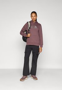 The North Face W DREW PEAK REGULAR HOODIE - Hættetrøje - tawny quartz/anthracite grey