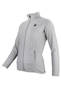 Peak Mountain AFONOR - Sweat zippé - gris