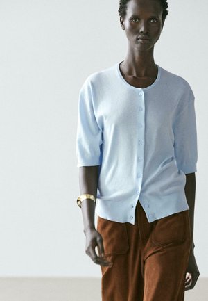 Person trägt eine hellblaue, geknöpfte Strickjacke mit ellbogenlangen Ärmeln und braune Hose, ergänzt durch ein goldenes Armband am linken Handgelenk.