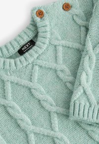 Pull en maille vert menthe clair avec un motif en torsades, col et poignets côtelés, et boutons marron. Étiquette indiquant "NEXT" est visible.