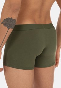Bruno Banani 6ER PACK RETRO - Trunks - schwarz   grün
