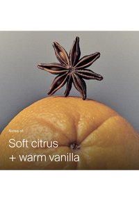 Badiane posée sur une orange entière sur un fond neutre, avec le texte indiquant « Agrume doux + vanille chaude. »