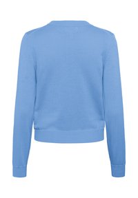 Maglione azzurro chiaro, lavorato a maglia, con maniche lunghe, polsini e orlo a coste. Design semplice, senza motivi o decorazioni. Vista posteriore mostrata.