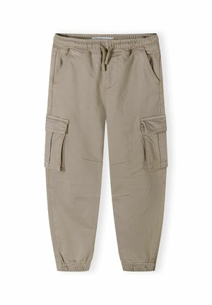 ELASTIC WAIST COMBAT STYLE - Pantaloni cargo - stone