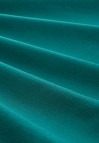 TOM TAILOR DENIM Základné tričko - rough green