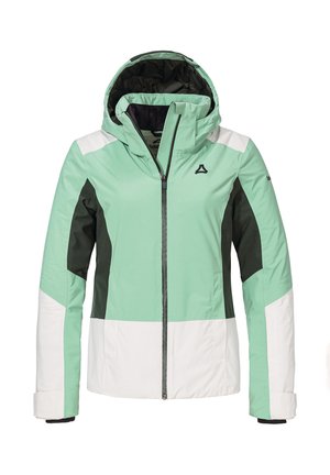 STYLE ZANDWEL WMS - Snowboardjacke - grün