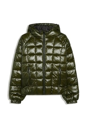 Bershka, GRID PRINT - PUFFER JACKET - Veste d'hiver - khaki