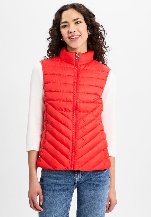 LEICHTE STEPP MIT STEHKRAGEN - Weste - rot