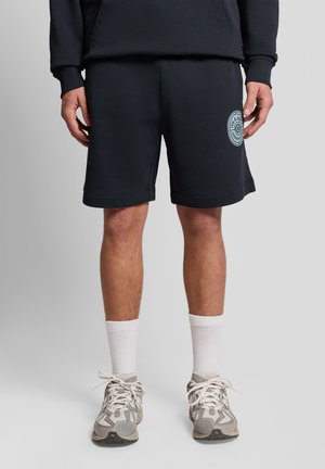 MID BOTTOMS BORDERS LABEL GRAPHIC  - Shorts - z271 dark navy