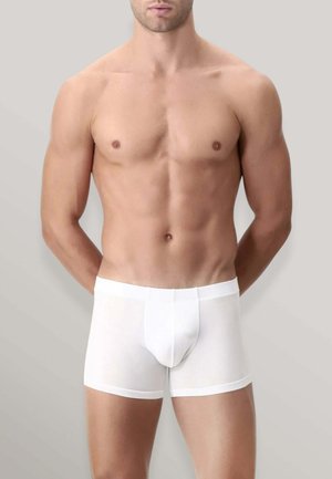 Torso maschile con corporatura muscolosa che indossa boxer bianchi semplici, in piedi contro uno sfondo grigio neutro con le braccia dietro la schiena.