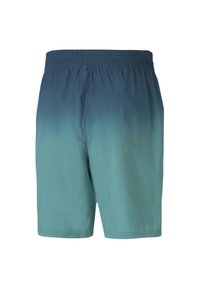 Puma Träningsshorts - blue