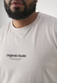 Jack & Jones JORVESTERBRO TEE CREW NECK - Camiseta estampada - moonbeam
