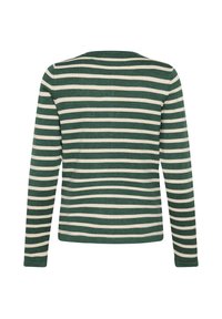 Garais piedurkņu džemperis ar horizontālām zaļām un baltām svītrām, redzams no aizmugures uz baltas fona.