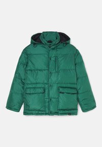 Doudoune verte avec fermeture éclair sur le devant, capuche ajustable et deux grandes poches avant. Tissu lisse, isolé avec une finition brillante.