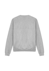 Gray sweatshirt with long sleeves, round neckline, ribbed cuffs and hem. Soft, textured fabric, plain design, no visible logos or patterns.