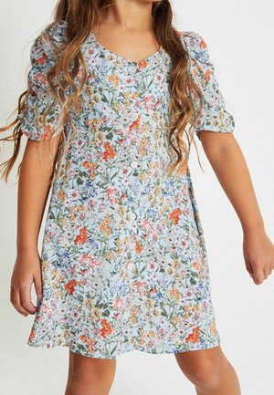 Robe à manches courtes à motif floral avec un fond bleu clair et des fleurs multicolores. Détail à boutons au niveau du col, coupe évasée.