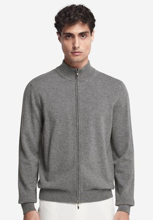 Man draagt een grijze trui met rits, hoge kraag en geribbelde manchetten, staand tegen een effen witte achtergrond.